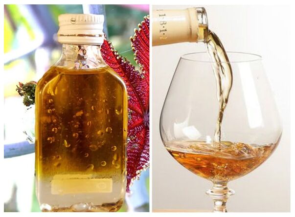 cognac dan minyak jarak melawan parasit