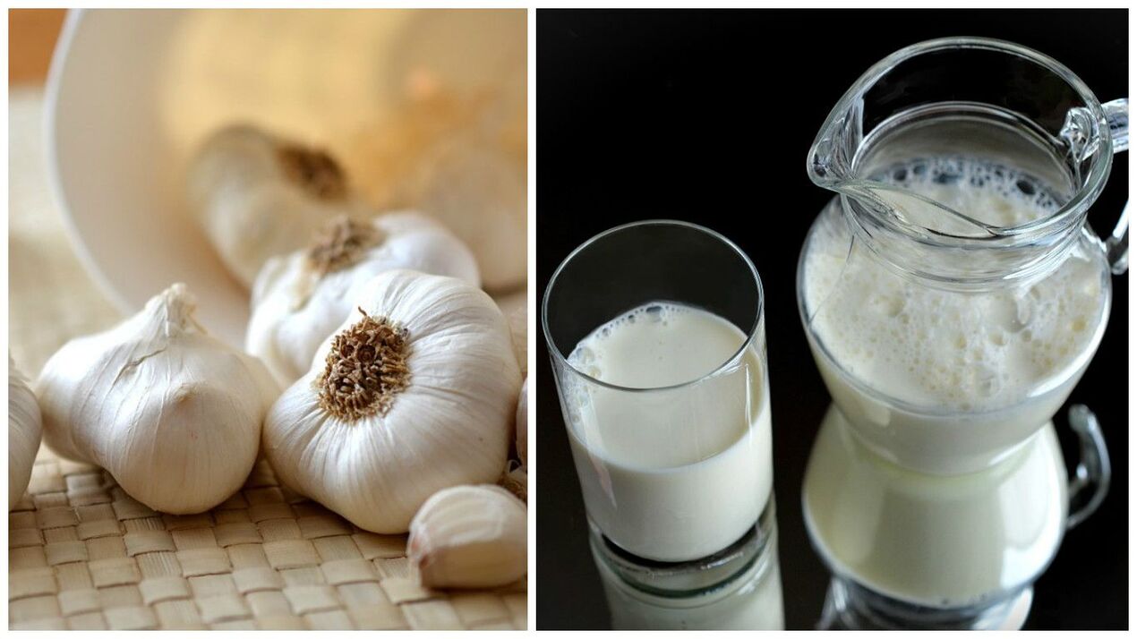 bawang putih dengan susu melawan parasit